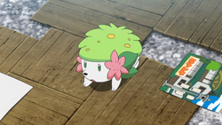 Pokemon Shaymin forma Cielo 1