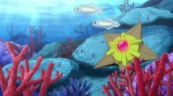 EP749 Tynamo y Staryu