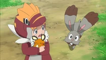 Imagen de Bunnelby de Clemont/Lem