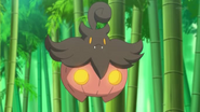 EP815 Pumpkaboo