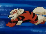 EP063 Arcanine