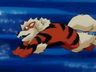 Arcanine en su primera aparición en el EP063.