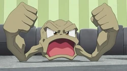 PO01 Geodude de Brock