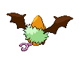 Imagen posterior de Swoobat variocolor macho o hembra en la quinta generación