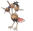 Dodrio