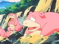 EP262 Slowpoke y Slowbro