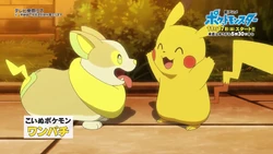 EP1091 Yamper de Koharu