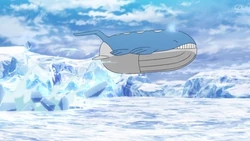 EP1184 Wailord