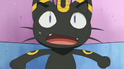 EP664 Meowth