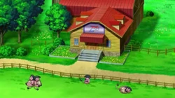 EP786 Miltank
