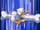 EP075 Marowak utilizando huesomerang.png