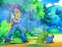 EP474 Somnífero de Oddish.png (59 kB) Un Oddish usando somnífero contra Ash y Pikachu.