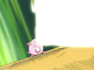 EP463 Chansey lanzando el rayo solar