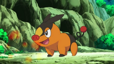 EP690 Tepig de Ash