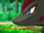 EP789 Perfil de Zoroark.png