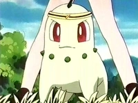 EP120 Chikorita de Casey