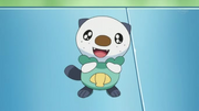 EP661 Oshawott en el laboratorio