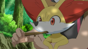 EP820 Fennekin masticando una rama