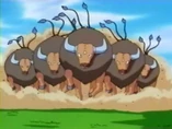 Imagen de Tauros (a Ash)