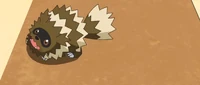 Zigzagoon usando derribo.