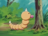 Un Weedle frente a un árbol posiblemente buscando hojas para comer.