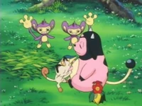EP209 Miltank usando batido.png (117 kB) Un Miltank usando batido.