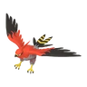 Talonflame
