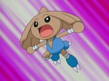 Imagen de Hitmontop