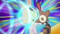 Un Sentret usando vozarrón en el Concurso Pokémon de Lilypad/Nenúfar.