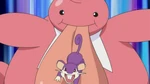 EP643 Lickylicky y Rattata