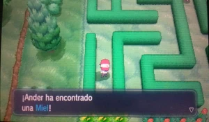 Lugar donde se encuentra uno de los tarros de mieles escondidos.