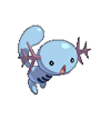 Wooper