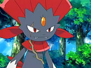 EP462 Lider Weavile