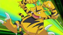 EP597 Electabuzz de Paul