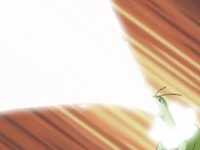 Meganium de Casey usando rayo solar en el EH11.