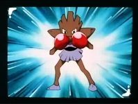 EP073 Hitmonchan de Bruno