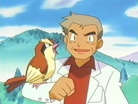EP247 Pidgey de Oak