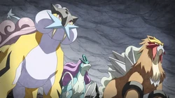 GEN06 Perros legendarios