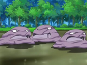 EP556 Muk en su entorno natural