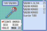 Pokemon Rubi 08