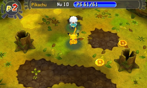 Bosque Poké