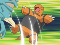 Golduck de Katie usando golpes furia contra el Torkoal de Ash.