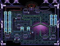 Interior del gimnasio de Ciudad Mayólica.