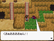 El Zoroark de N guiándonos al Palacio de N (1).