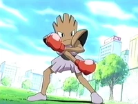 EP275 Hitmonchan de Kim