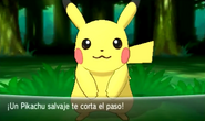 Aparición de un Pokémon salvaje en Pokémon X y Pokémon Y.