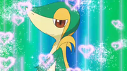 EP667 Snivy usando atraccion