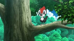 EP1014 Pikipek