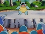 EP060 Squirtle calmando a todos