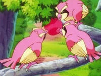 EP090 Pinkan Island Pidgeys